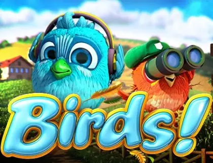 Birds!