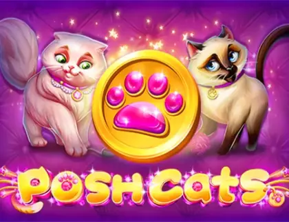Posh Cats